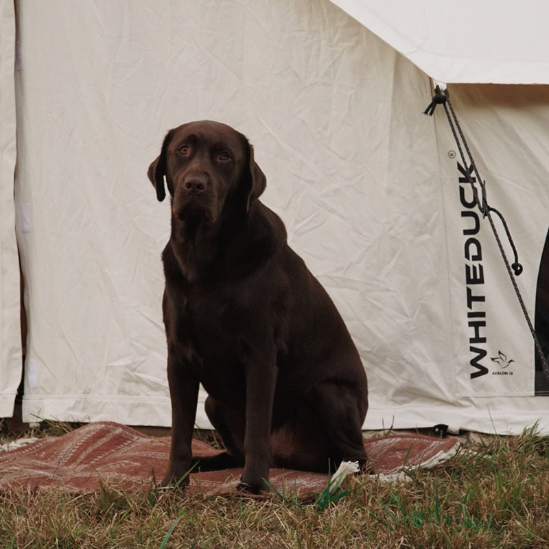 Load image into Gallery viewer, Avalon Bell Tent