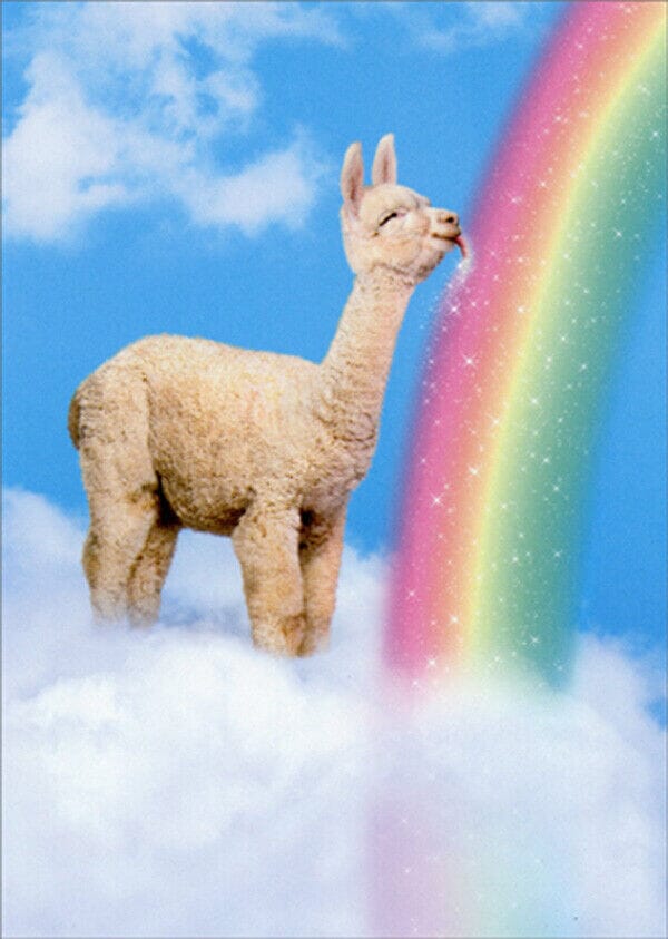 Load image into Gallery viewer, Avanti Alpaca Greeting Card - Wishing You Sunshine and Rainbows