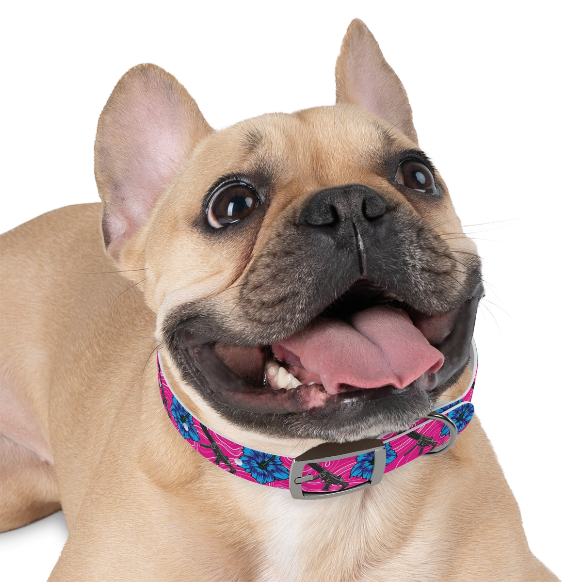 Rad Palm High Capacity Hibiscus Dog Collar