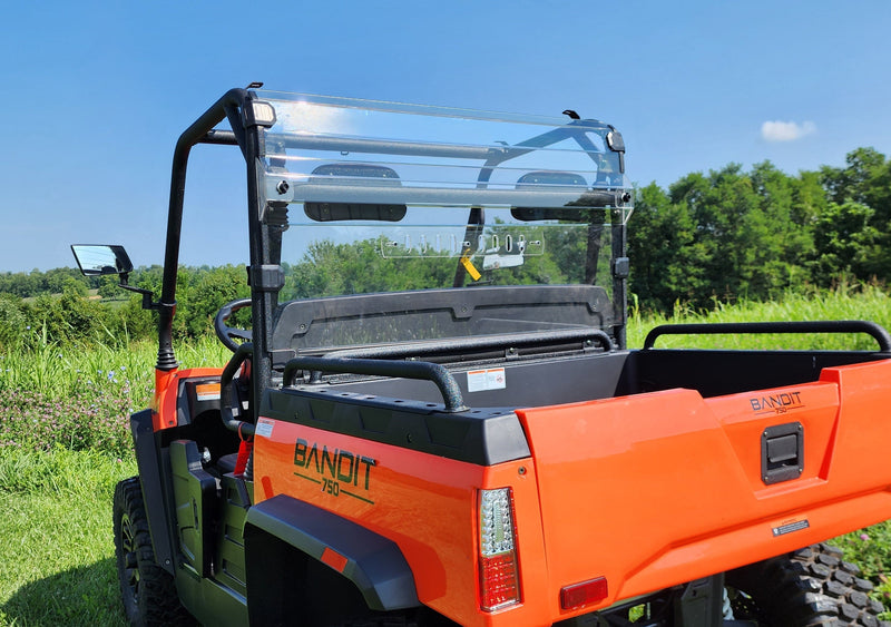 Load image into Gallery viewer, Bad Boy Bandit 550/750 - 1 Pc Lexan Back Panel