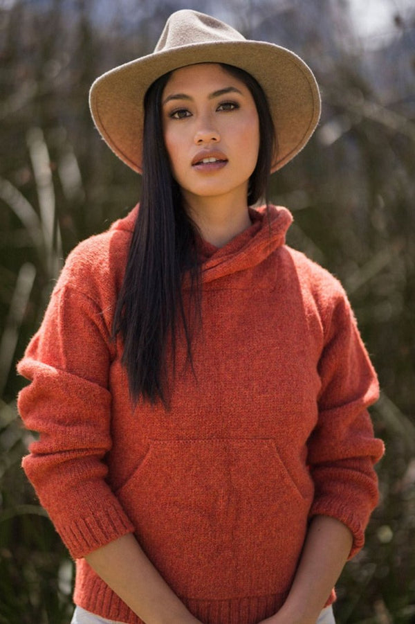 Load image into Gallery viewer, Briana Alpaca Hoodie Pullover