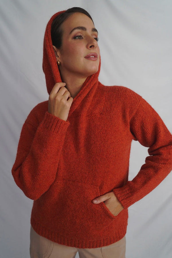 Load image into Gallery viewer, Briana Alpaca Hoodie Pullover