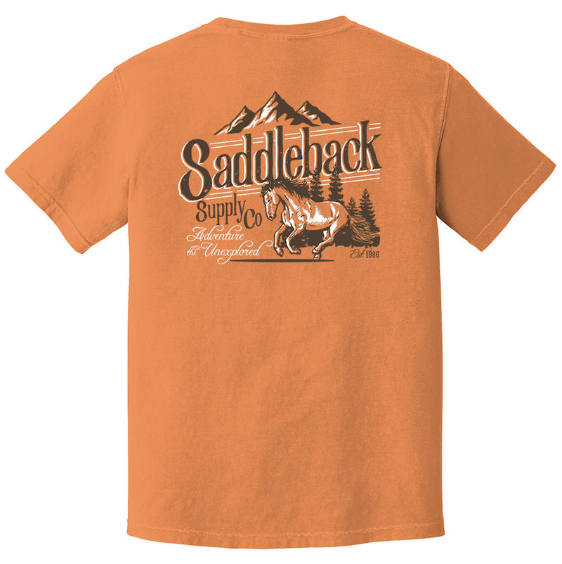 Load image into Gallery viewer, Western Spirit Pigment Tee