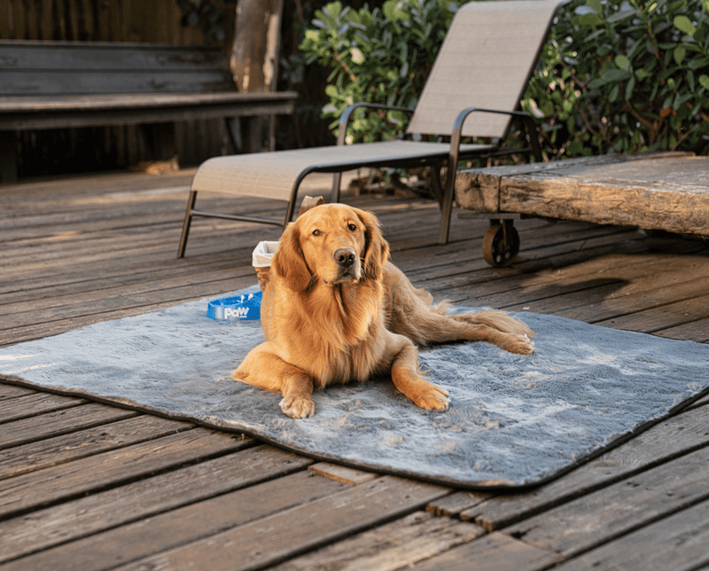 Load image into Gallery viewer, PupProtector™ Summer Short Fur Waterproof Throw Blanket - Charcoal Grey