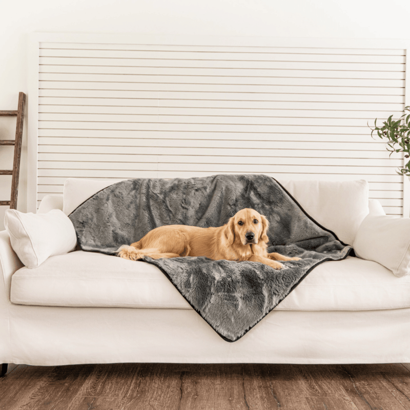 Load image into Gallery viewer, PupProtector™ Summer Short Fur Waterproof Throw Blanket - Charcoal Grey