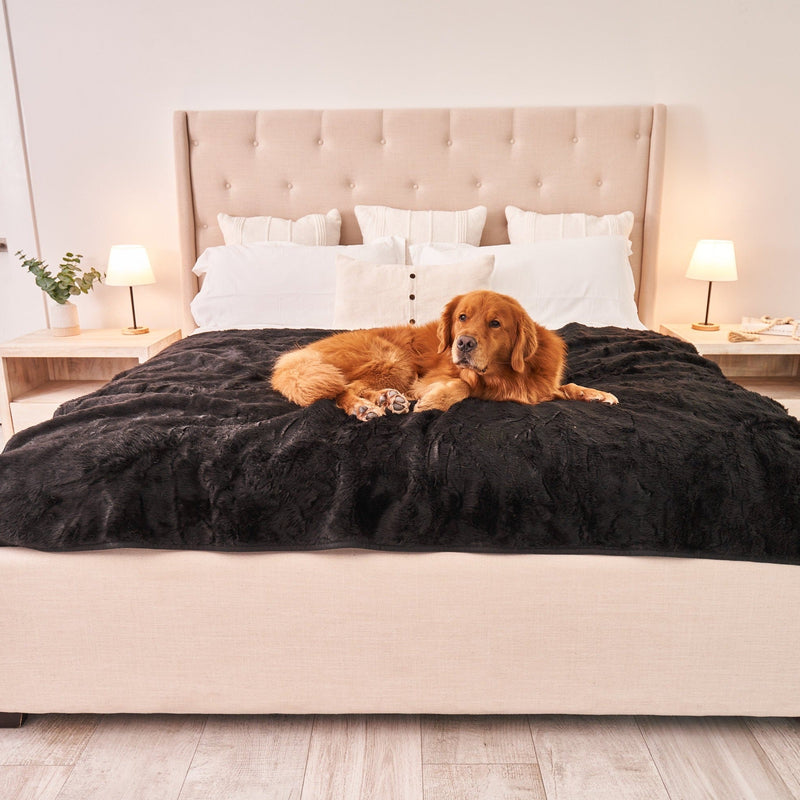 Load image into Gallery viewer, PupProtector™ Summer Short Fur Waterproof Throw Blanket - Midnight Black