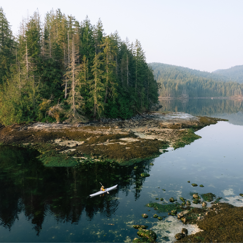 Load image into Gallery viewer, Oru Coast