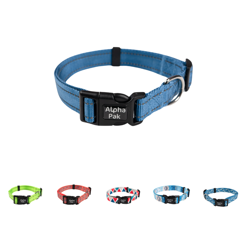 Load image into Gallery viewer, Everyday Adventure Dog Collar