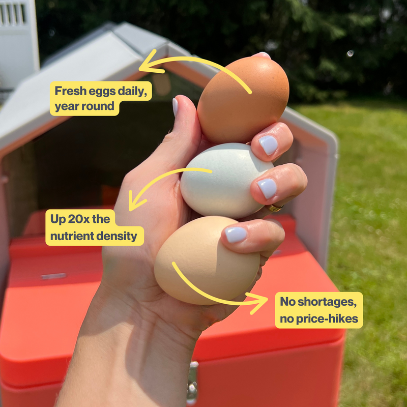 Load image into Gallery viewer, The Smart Coop Unlimited+