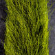 Load image into Gallery viewer, Calf Tail