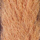 Load image into Gallery viewer, Calf Tail