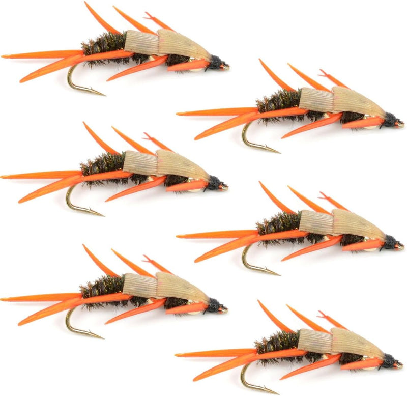 Load image into Gallery viewer, Double Bead Peacock Stonefly Nymph with Amber Biot Legs Fly Fishing Flies - Trout and Bass Wet Fly Pattern - 6 Flies Hook Size 12