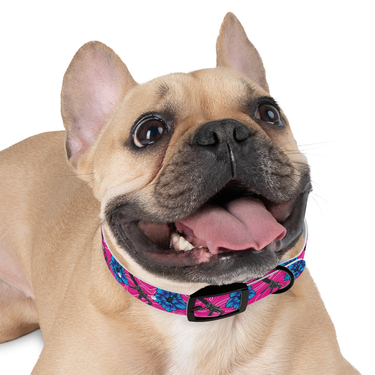 Rad Palm High Capacity Hibiscus Dog Collar