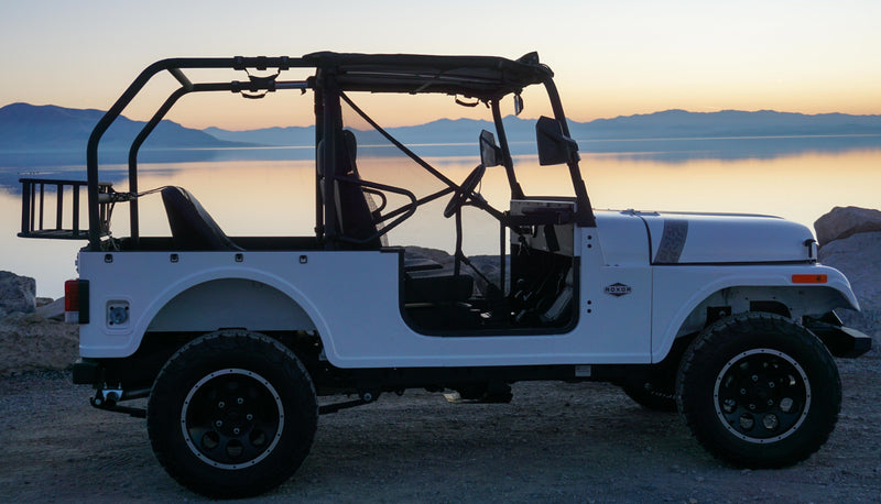 Load image into Gallery viewer, ROXOR Rear Roll Cage *ONLY* (2018+)