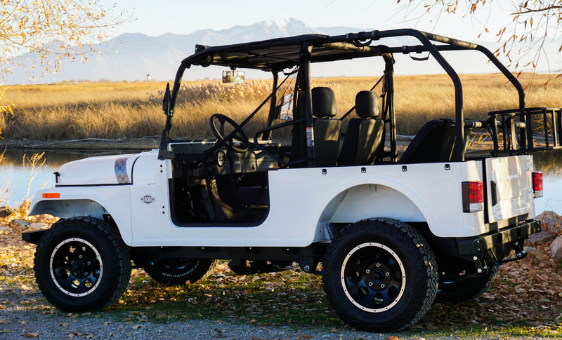 Load image into Gallery viewer, ROXOR Rear Roll Cage *ONLY* (2018+)