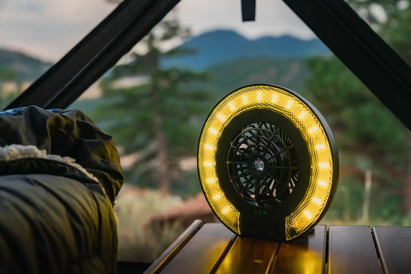 Load image into Gallery viewer, LED Fan Lamp