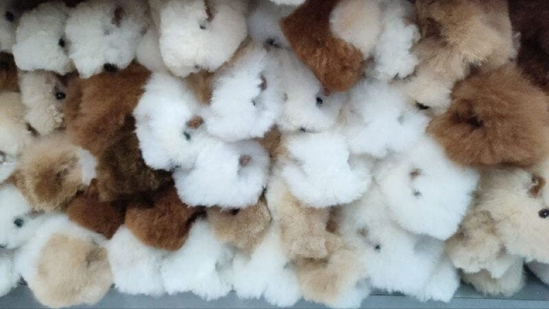 Load image into Gallery viewer, Fur Alpaca Guinea Pig ("Cuy")