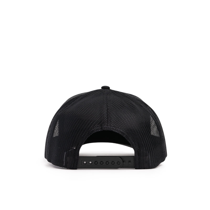 Load image into Gallery viewer, Duck Patch Hat