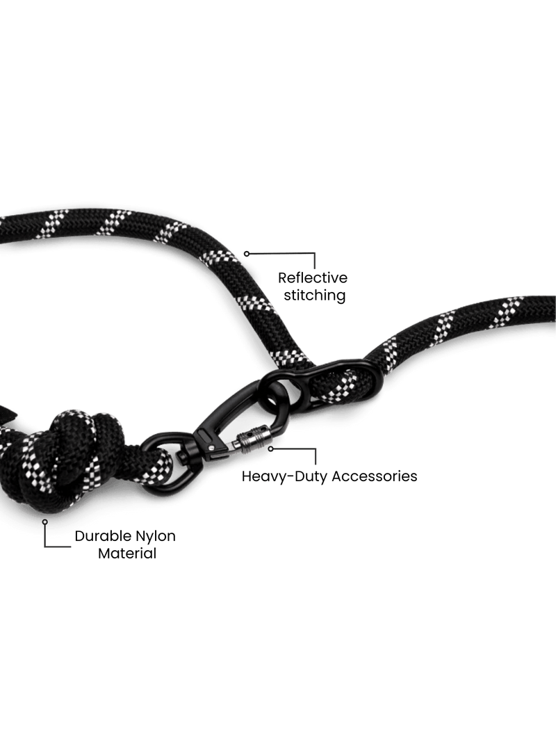 Load image into Gallery viewer, Runners Hands Free Dog Leash