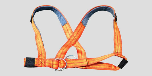 Harness