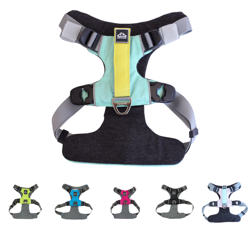 Load image into Gallery viewer, Everyday Adventure Dog Harness