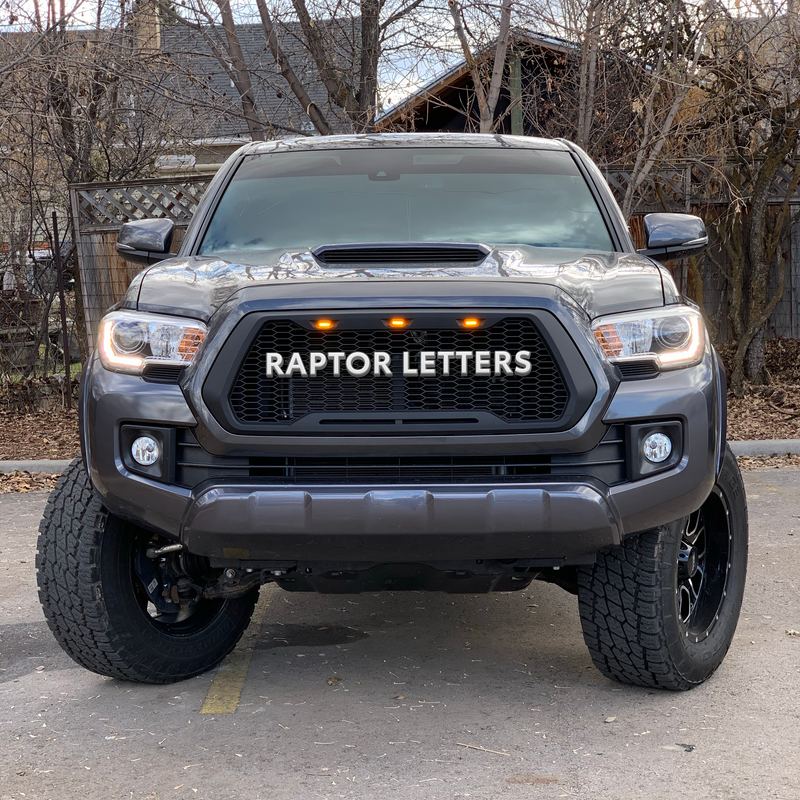 Load image into Gallery viewer, 2016-23 Tacoma Raptor Grille