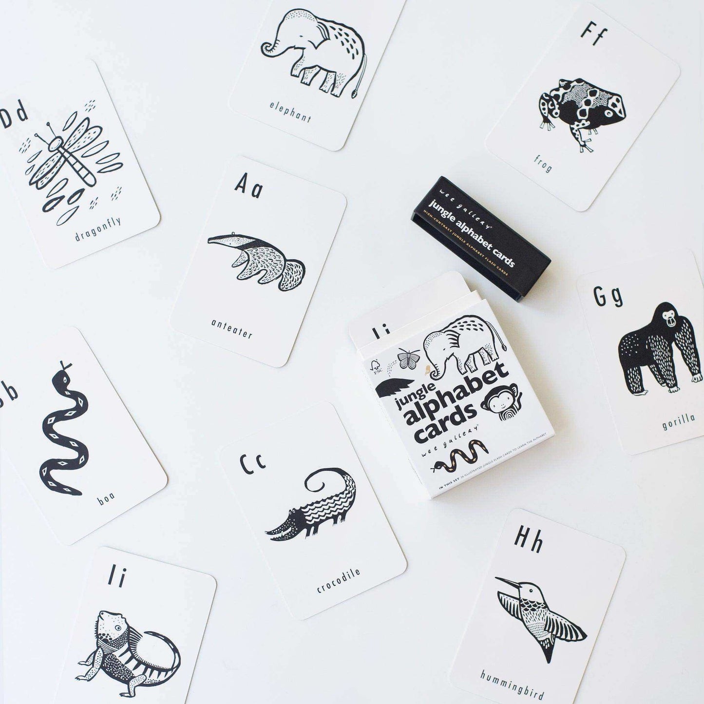 Jungle Alphabet Cards - Skoutley Outdoors LLC