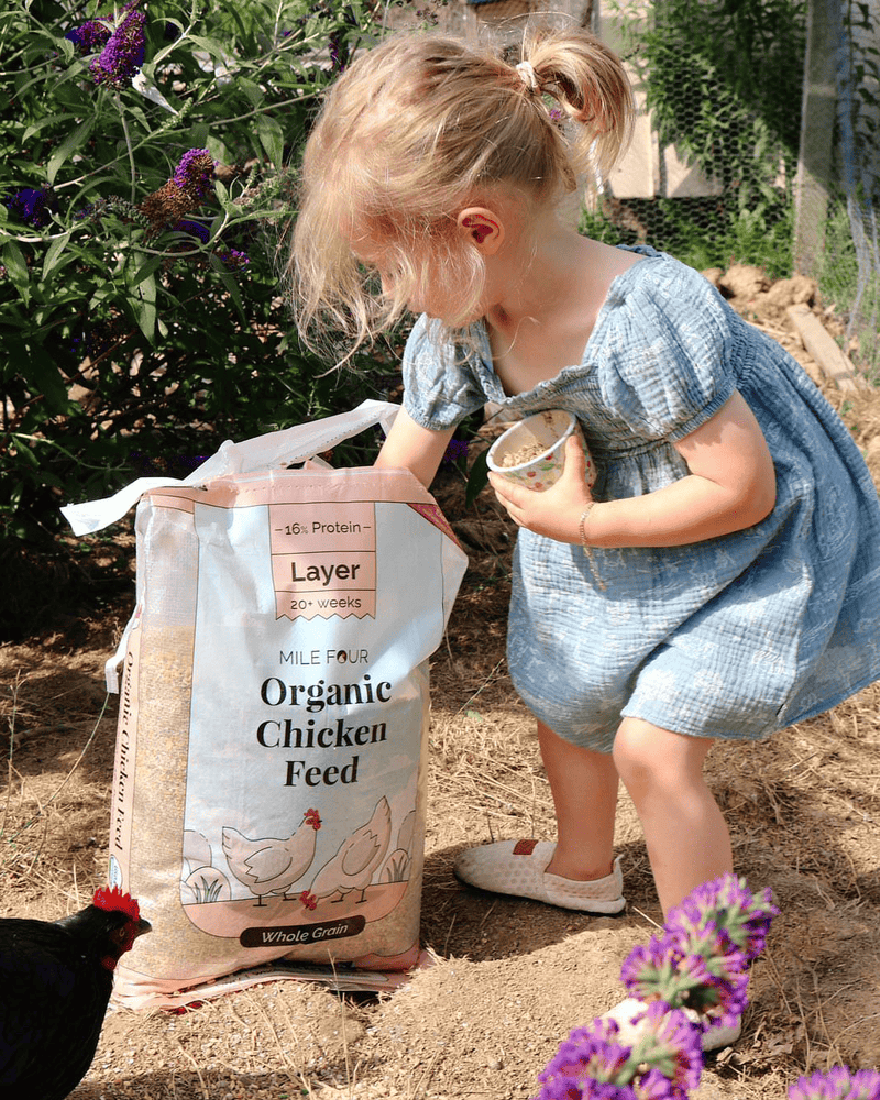 Load image into Gallery viewer, Layer Organic Chicken Feed