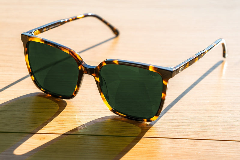 Load image into Gallery viewer, Melody | Monstera