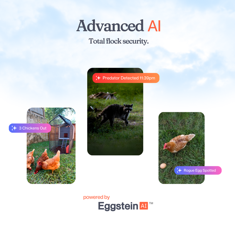Load image into Gallery viewer, The Smart Coop Unlimited+