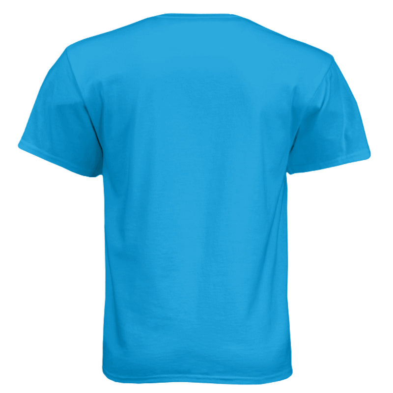 Load image into Gallery viewer, Turquoise - BACK