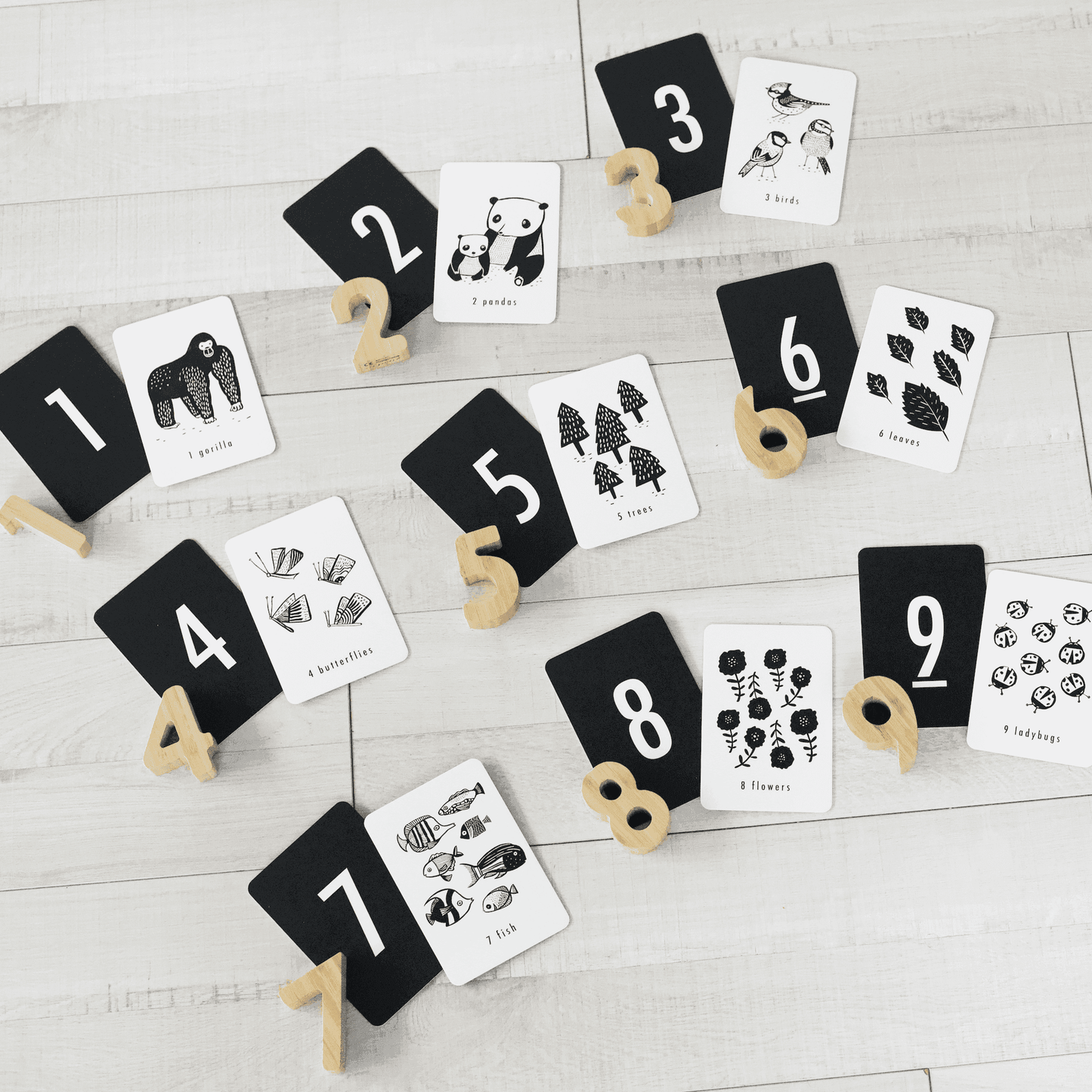 Counting Adventure Bundle - Skoutley Outdoors LLC