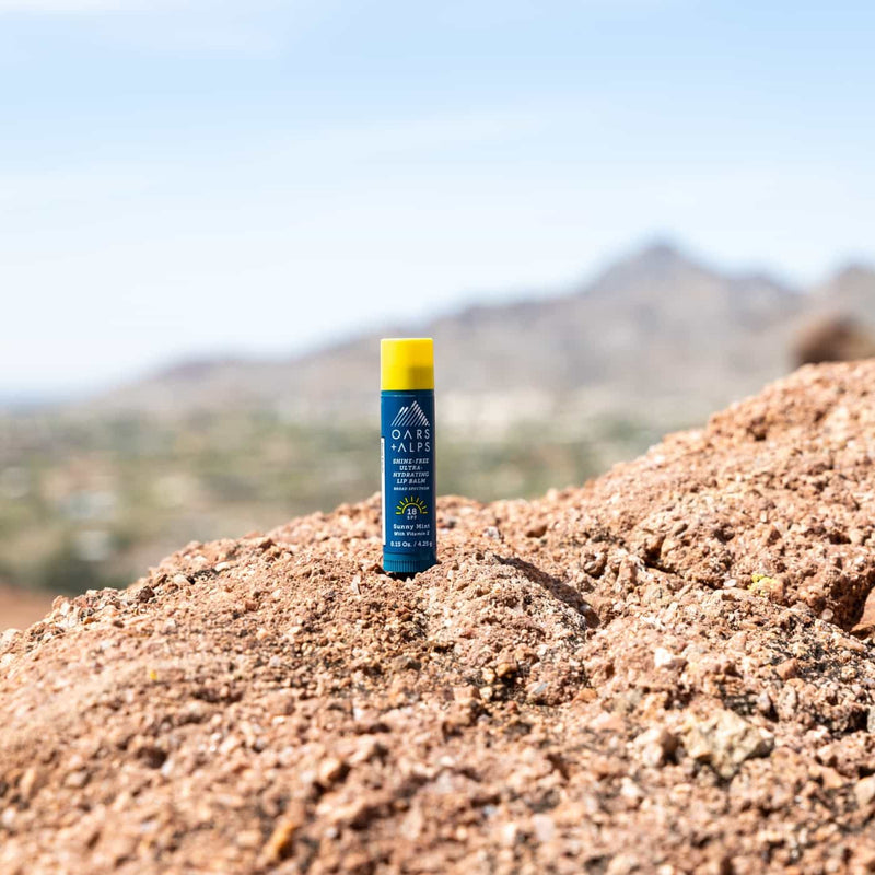 Load image into Gallery viewer, SPF Shine-Free Lip Balm Kit - Sunny Mint
