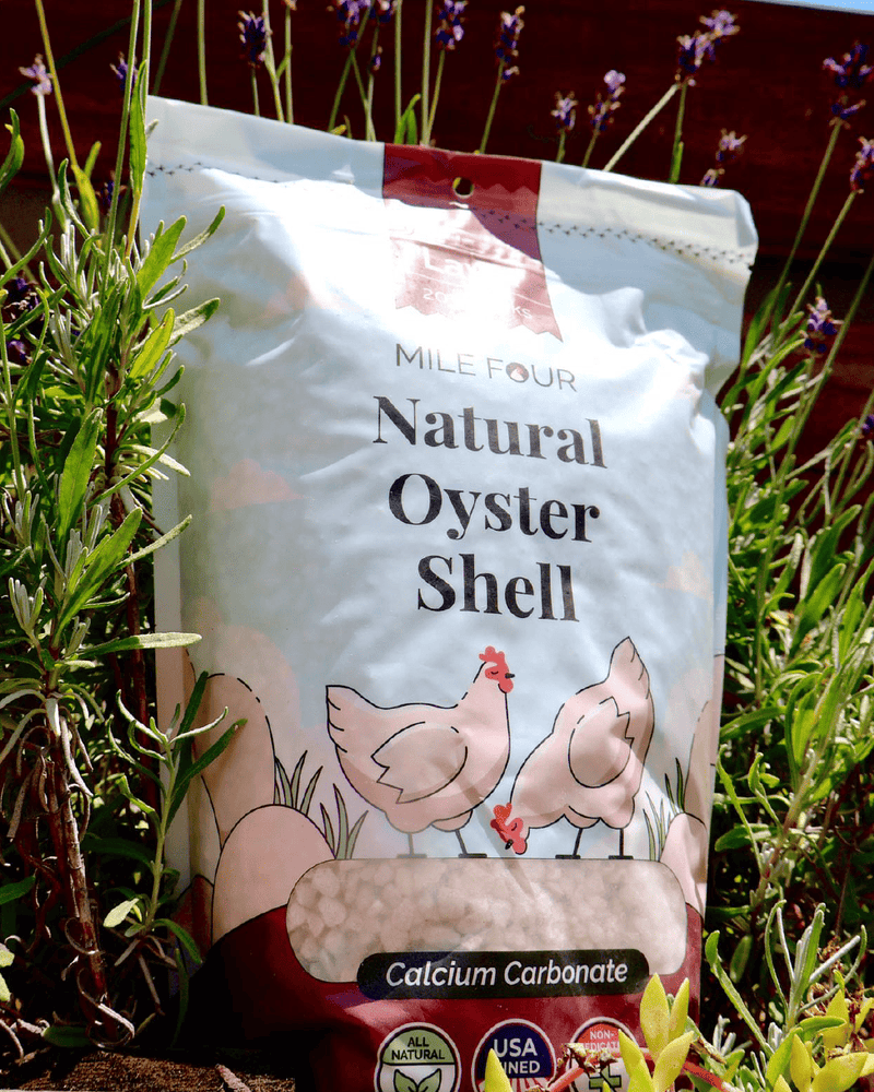 Load image into Gallery viewer, Oyster Shell