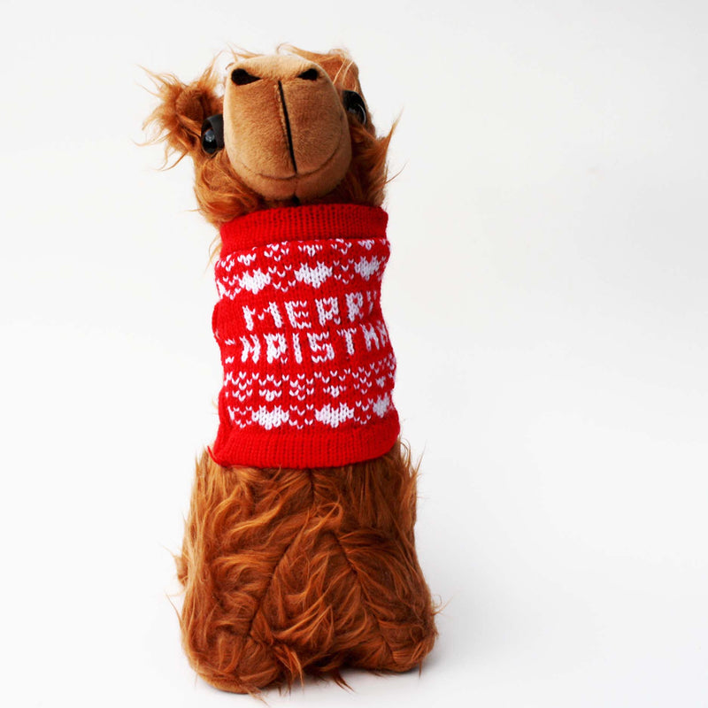 Load image into Gallery viewer, PacaBuddies Sweater Accessories