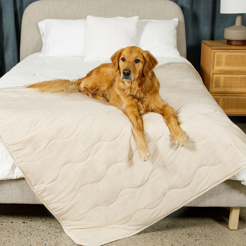 Load image into Gallery viewer, PupChill™ Cooling Waterproof Blanket - Arctic Sand
