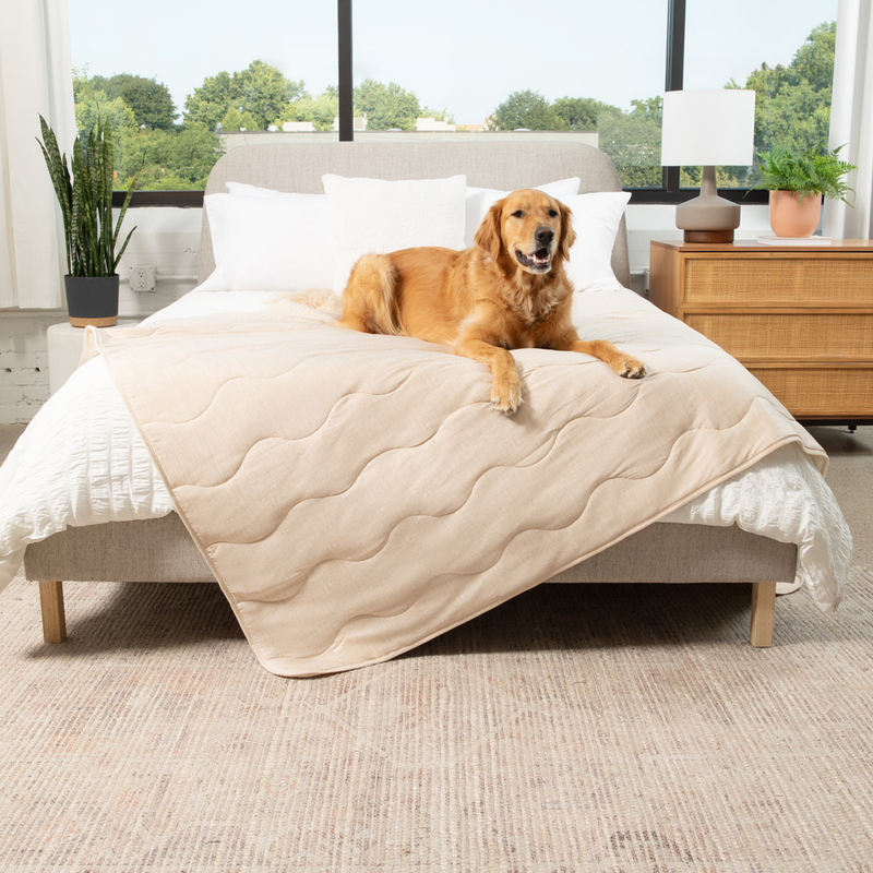 Load image into Gallery viewer, PupChill™ Cooling Waterproof Blanket - Arctic Sand