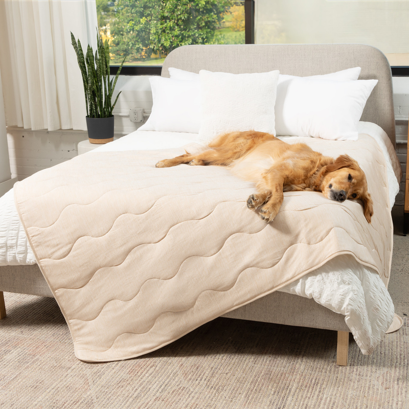 Load image into Gallery viewer, PupChill™ Cooling Waterproof Blanket - Arctic Sand