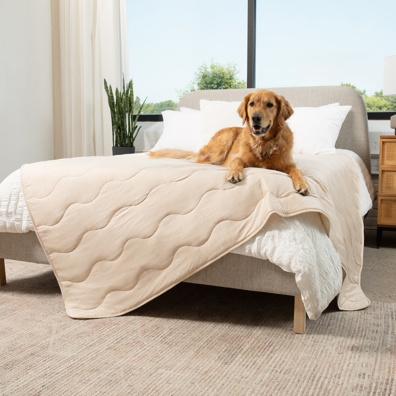 Load image into Gallery viewer, PupChill™ Cooling Waterproof Blanket - Arctic Sand