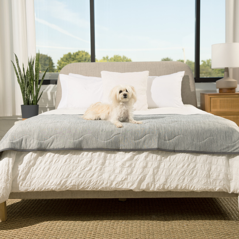 Load image into Gallery viewer, PupChill™ Cooling Waterproof Runner Blanket - Arctic Grey