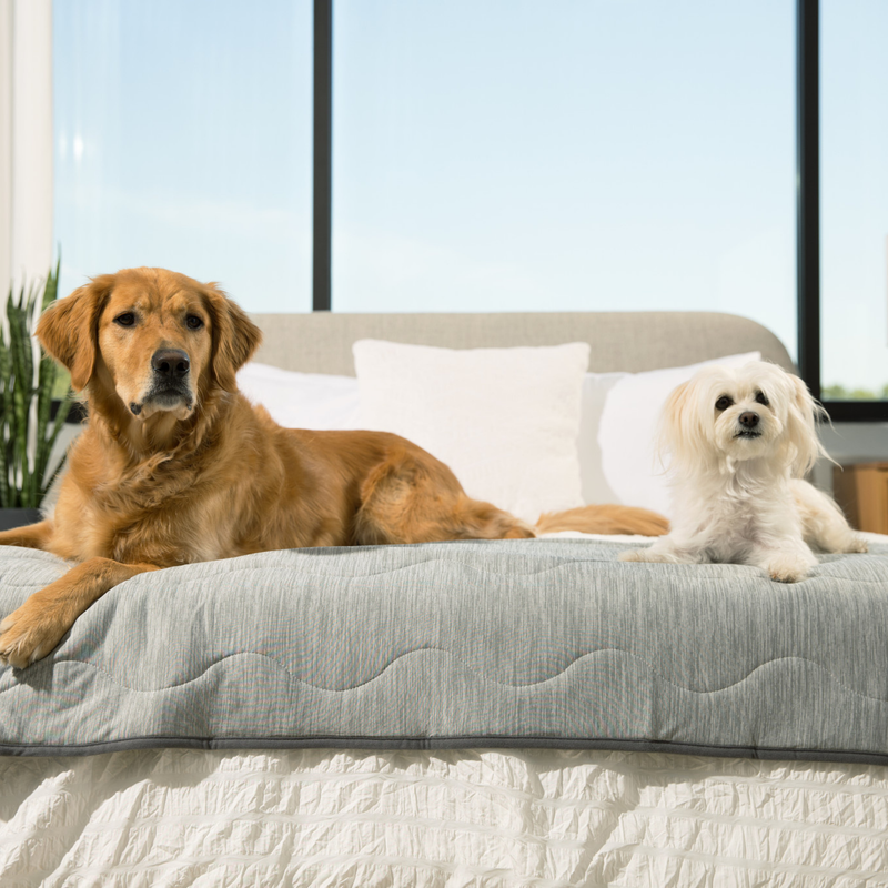 Load image into Gallery viewer, PupChill™ Cooling Waterproof Runner Blanket - Arctic Grey