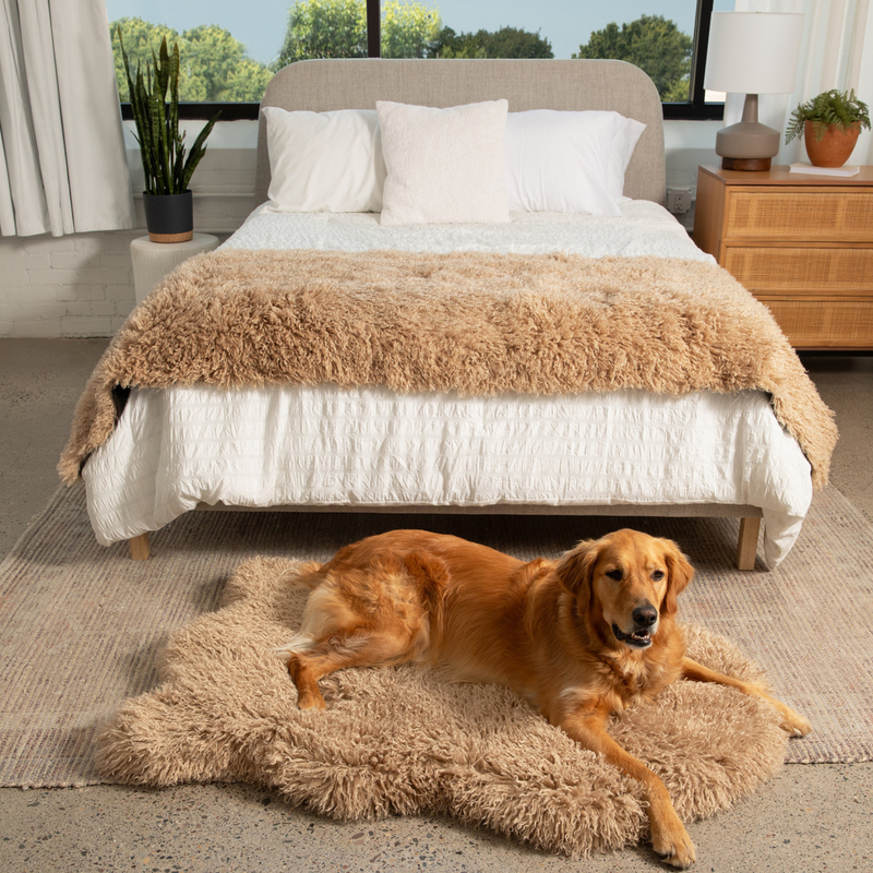 Load image into Gallery viewer, PupRug® Luxe Faux Fur Orthopedic Dog Bed - Plush Sheep Tan