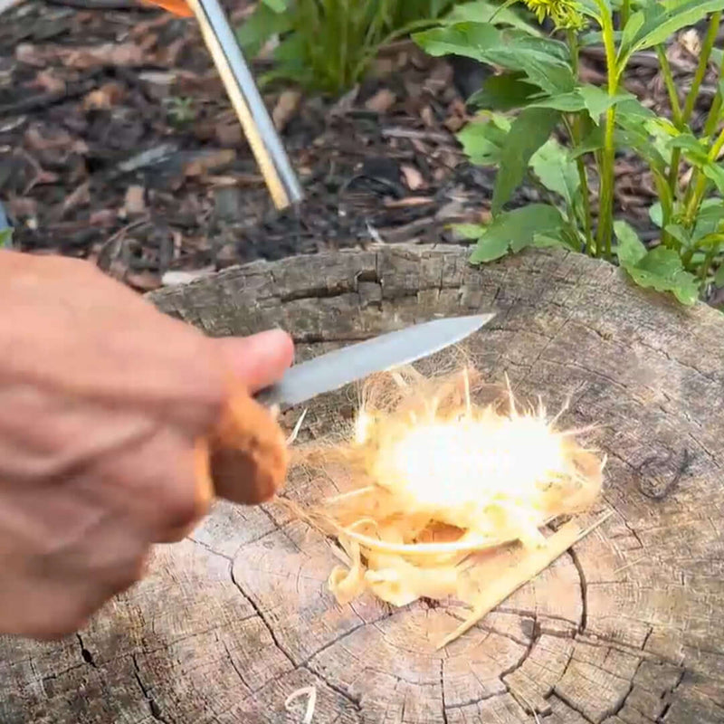 Load image into Gallery viewer, Quick Feather Folding Knife