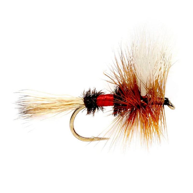 Load image into Gallery viewer, Royal Wulff Classic Trout Dry Fly Fishing Flies - Set of 6 Flies Size 10