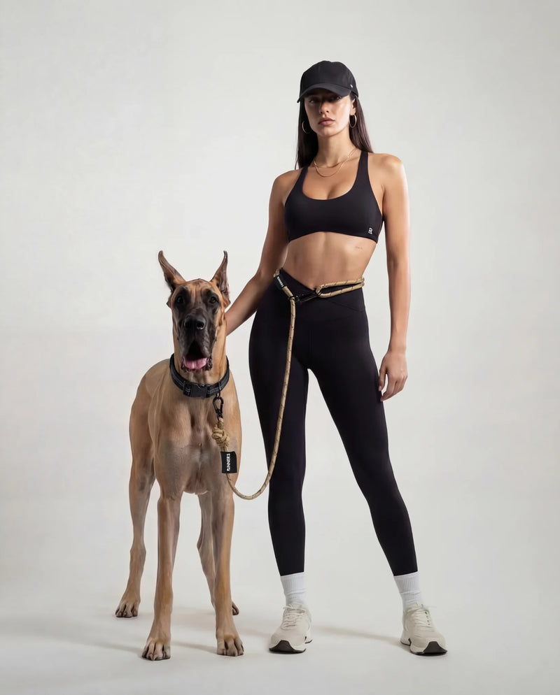 Load image into Gallery viewer, Olive Green Runners Hands-Free Dog Leash
