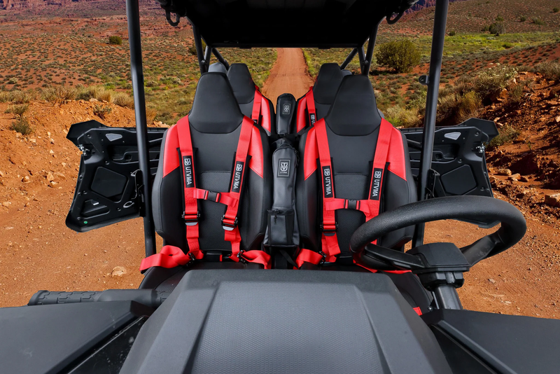 Load image into Gallery viewer, RZR PRO Harness Kit (2020-2024)