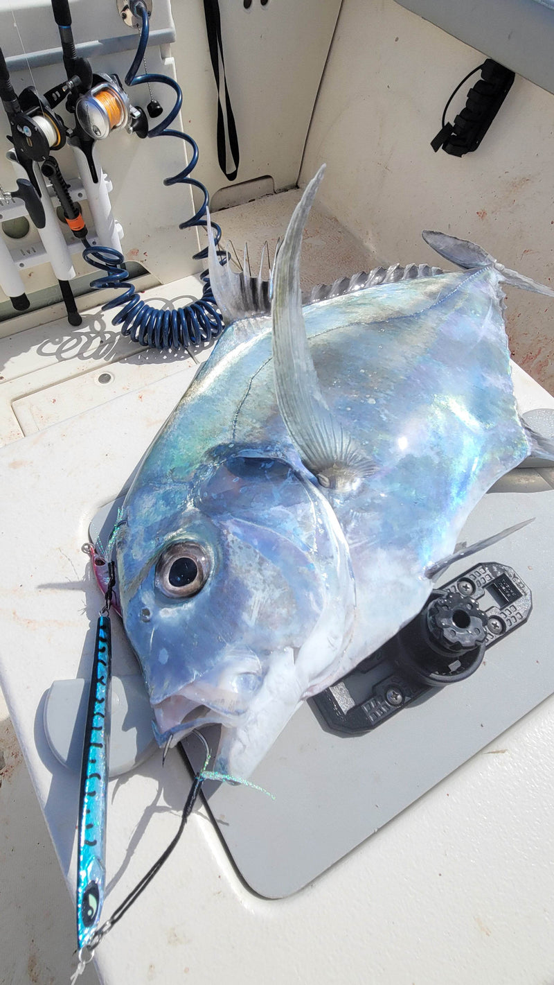 Load image into Gallery viewer, Ogre Slow Pitch Jig – 80g–300g