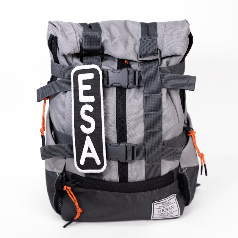Load image into Gallery viewer, ESA 2x6 Patch