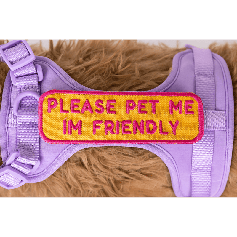 Load image into Gallery viewer, Please Pet Me Patch