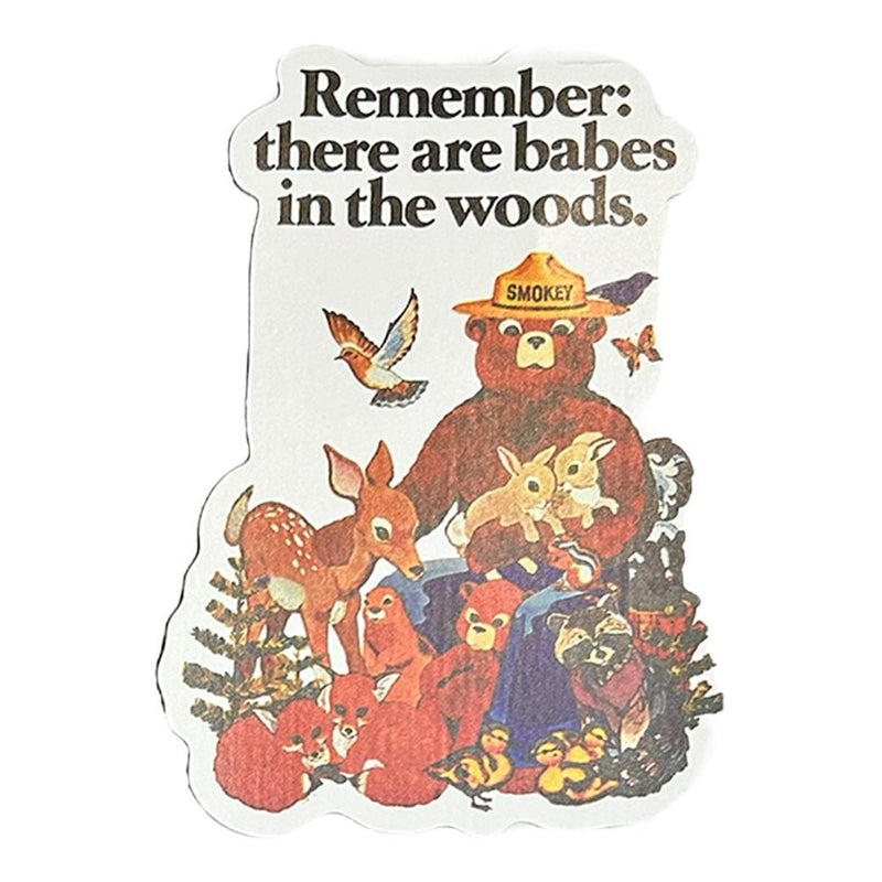 Load image into Gallery viewer, Smokey Bear & Woodsy Owl Decals